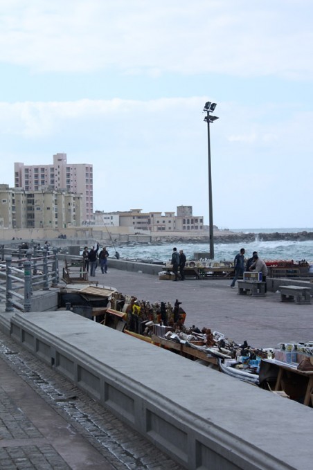 alexandria_2009_18